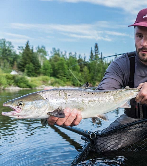 Catch your next best story amongst a vast array of species available in Matanie: salmon, striped bass, mackerel, moose and so much more.