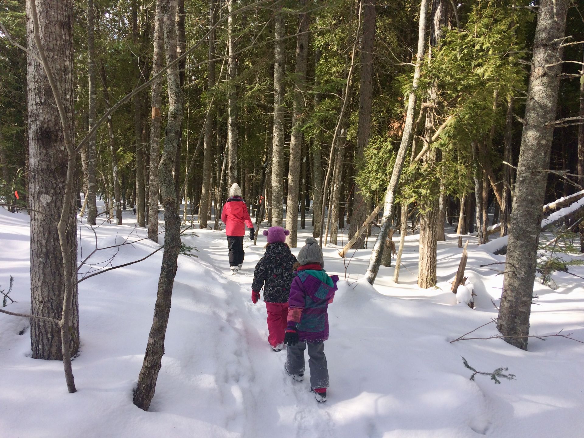 Relâche scolaire : 10 activités à faire en famille au cœur de La Matanie