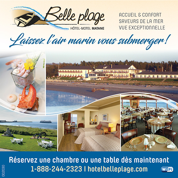 Publicité