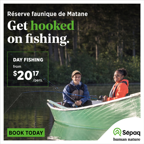 Publicité