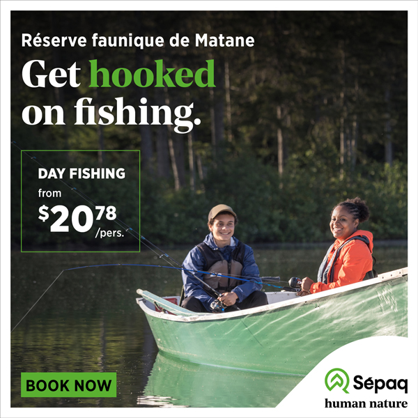 Publicité
