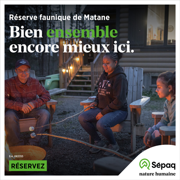 Publicité