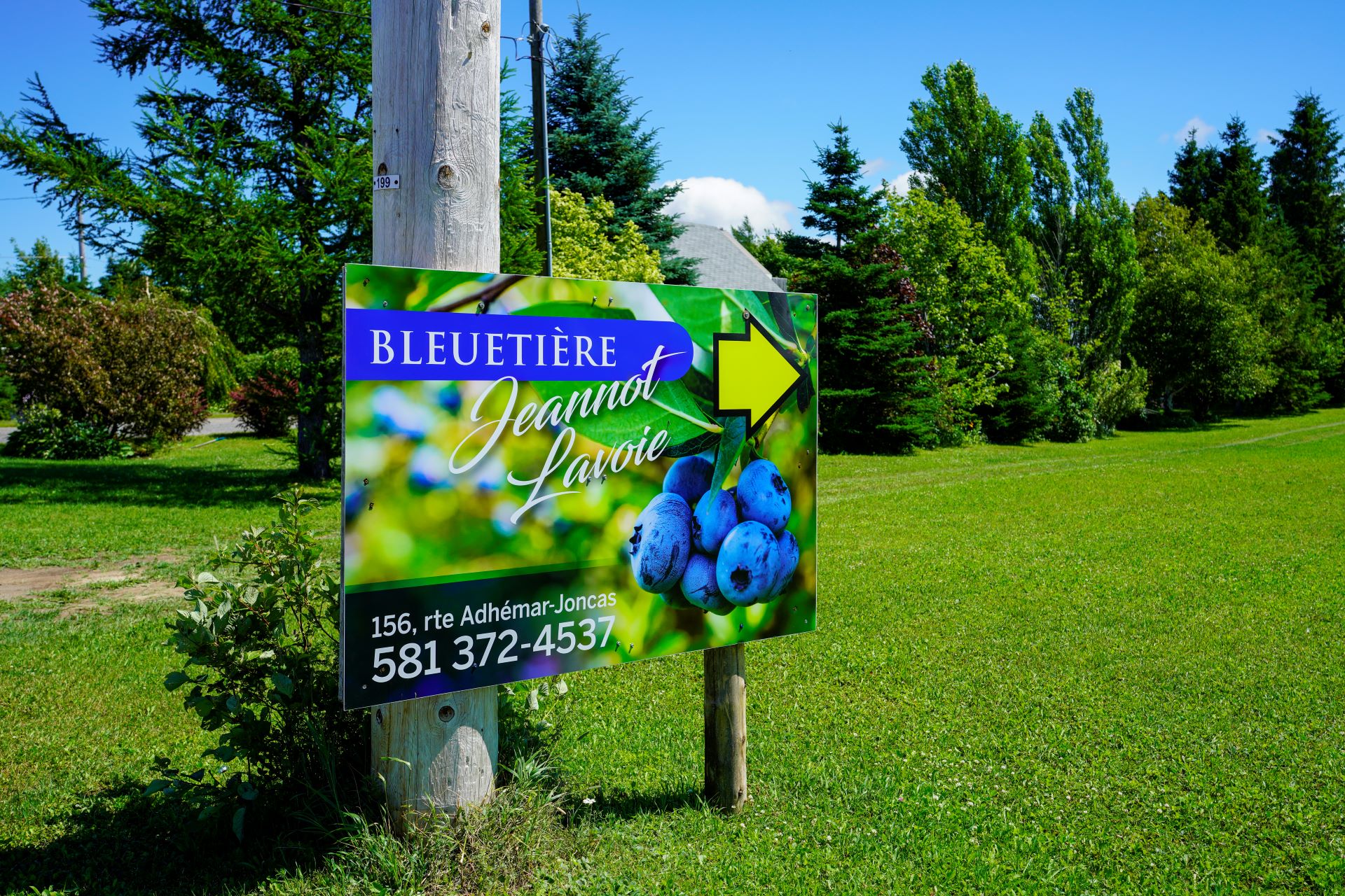 Bleuetière Jeannot Lavoie