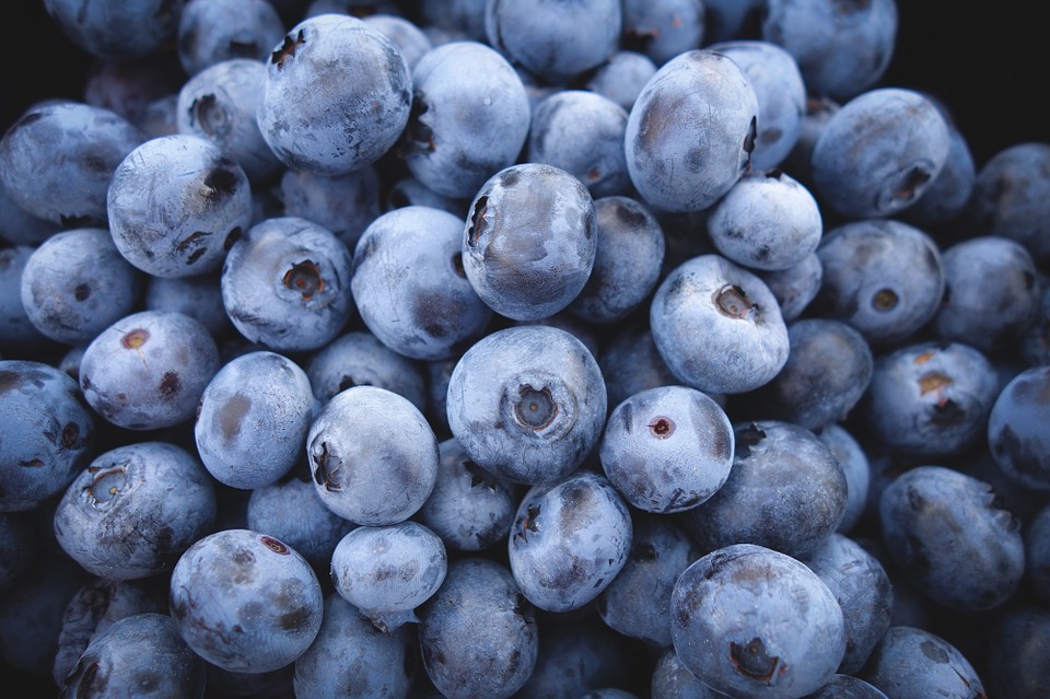 Bleuetière La Perle Bleue