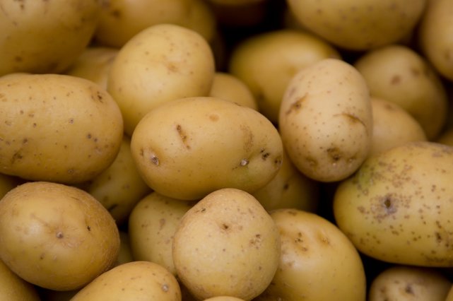 Ferme D. & E. Chamberland - Potato Farm