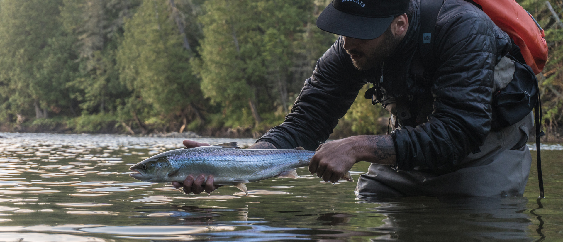 Guides de pêche au saumon et bar rayé