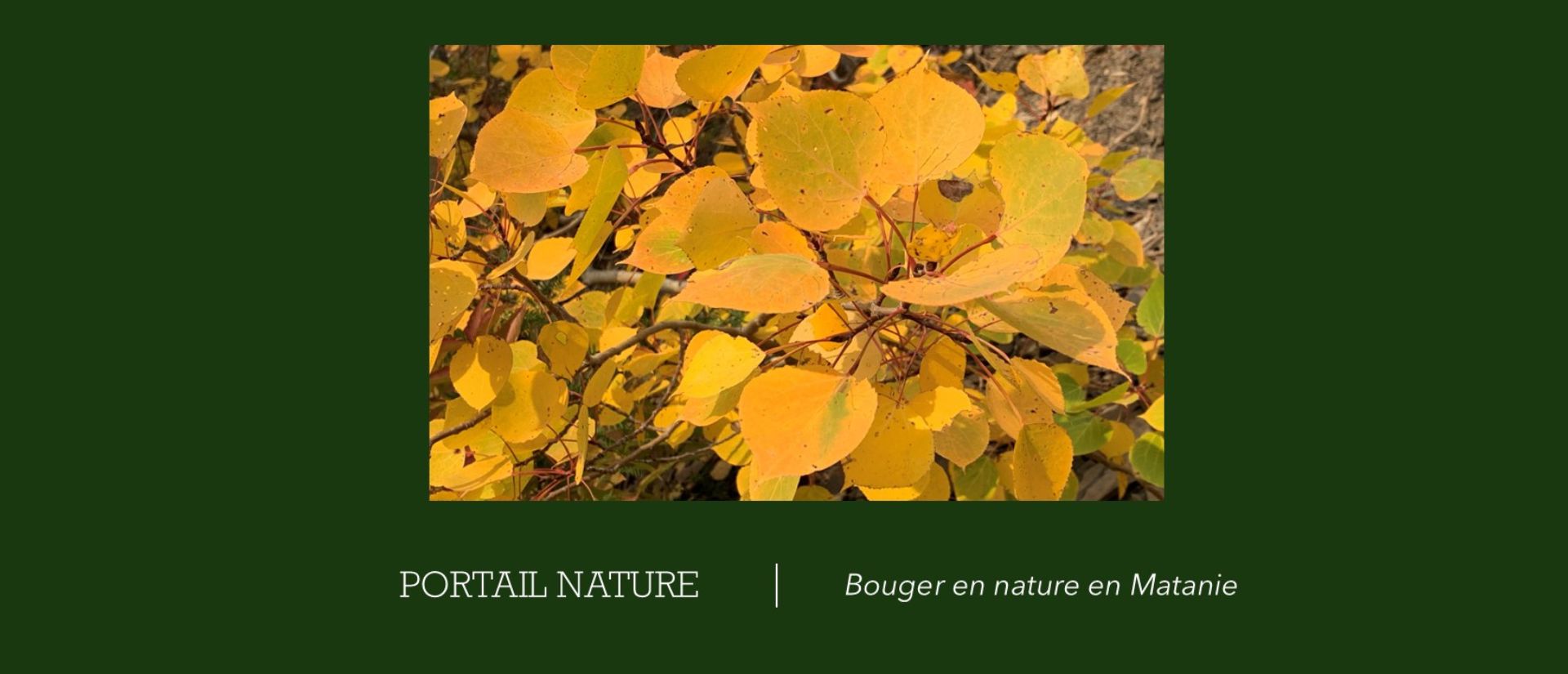 Portail Nature