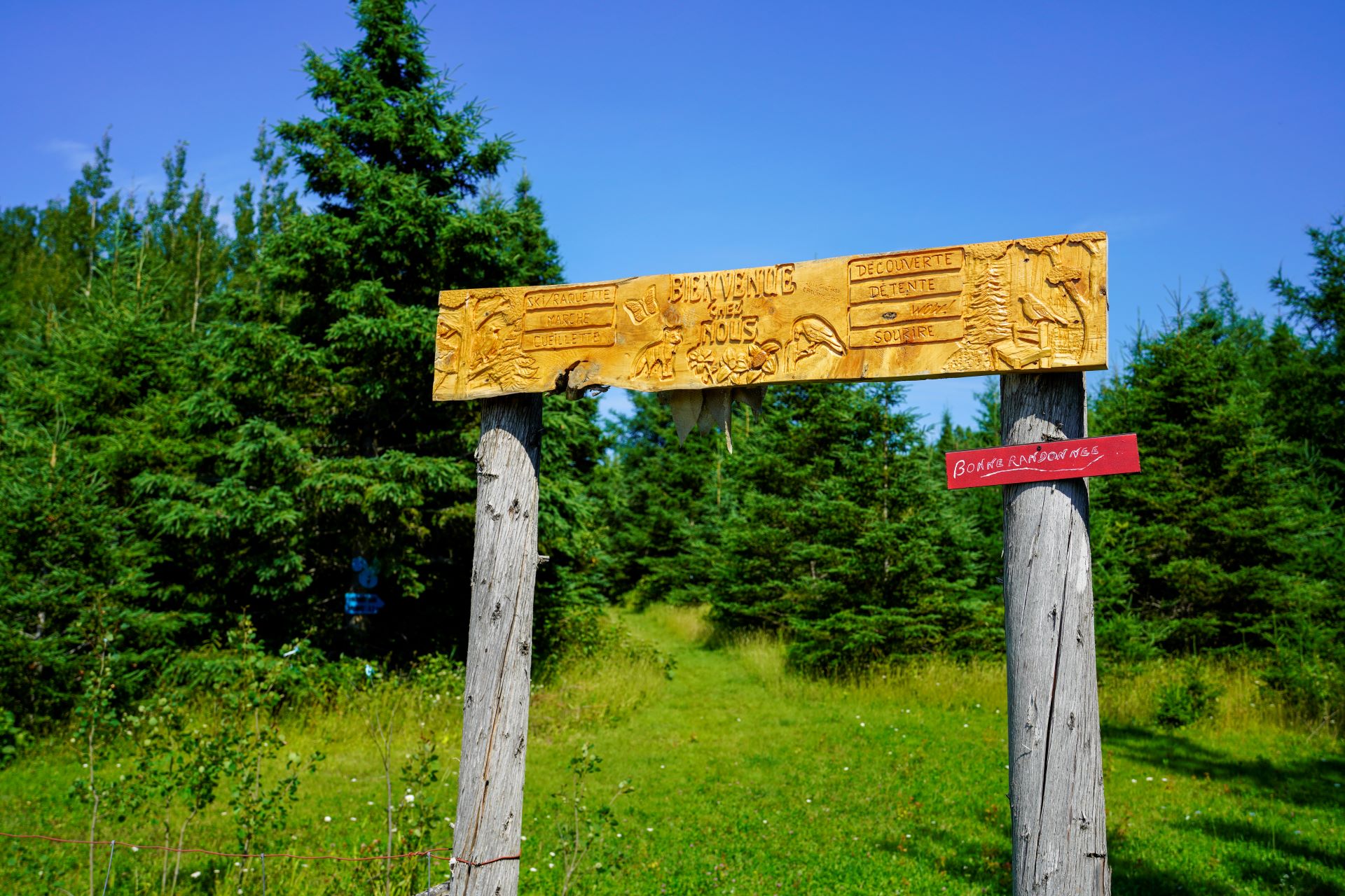 Sentiers de la Forêt municipale de Sainte-Félicité