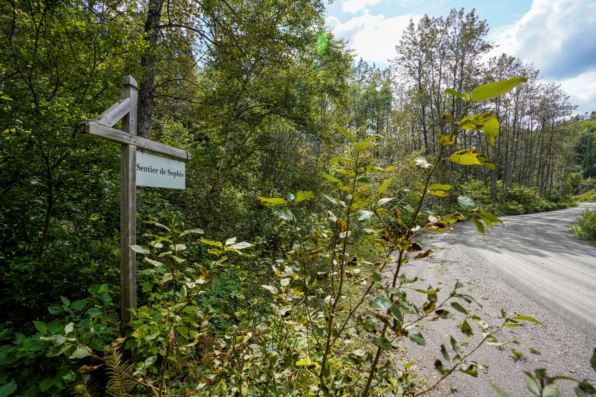 Sentier de Sophie