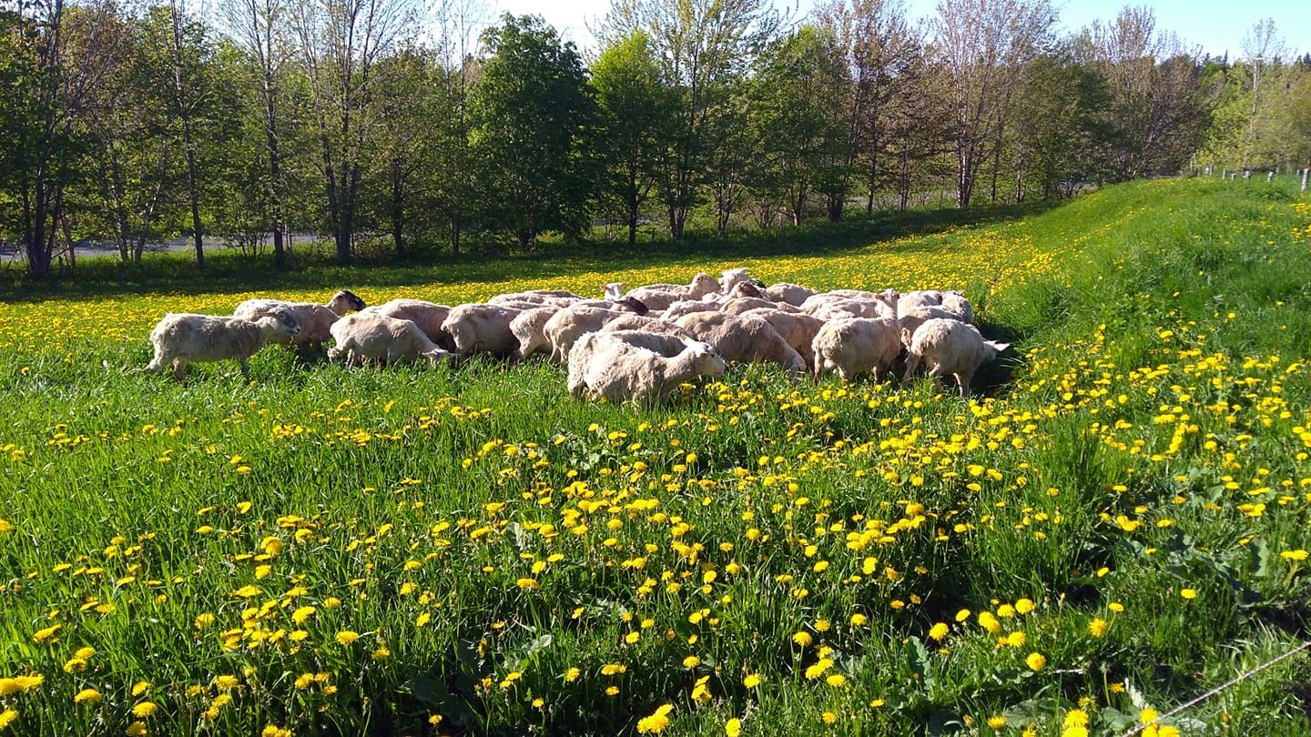 Ferme Le Beaulieu