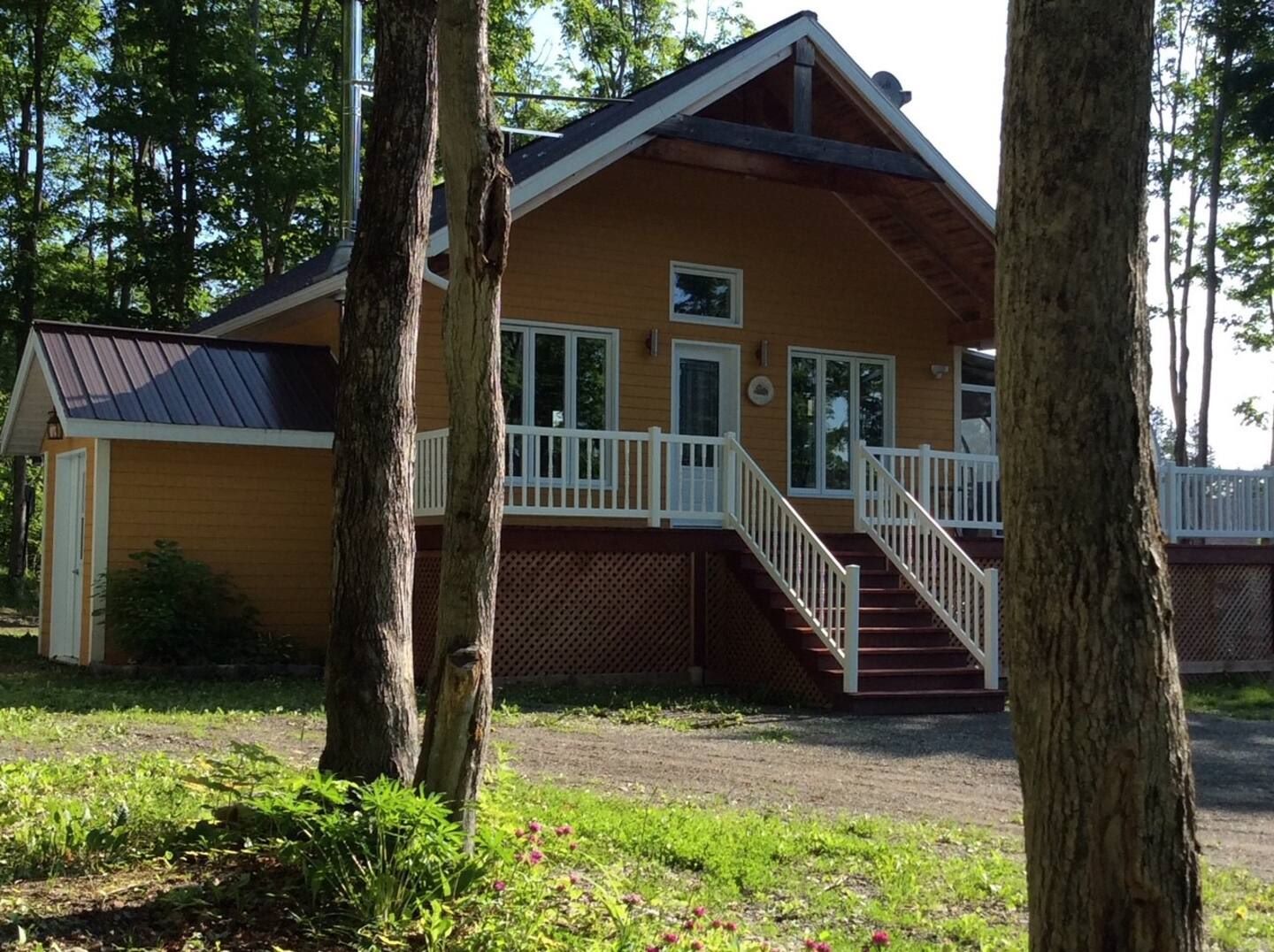 Maison sous les arbres
