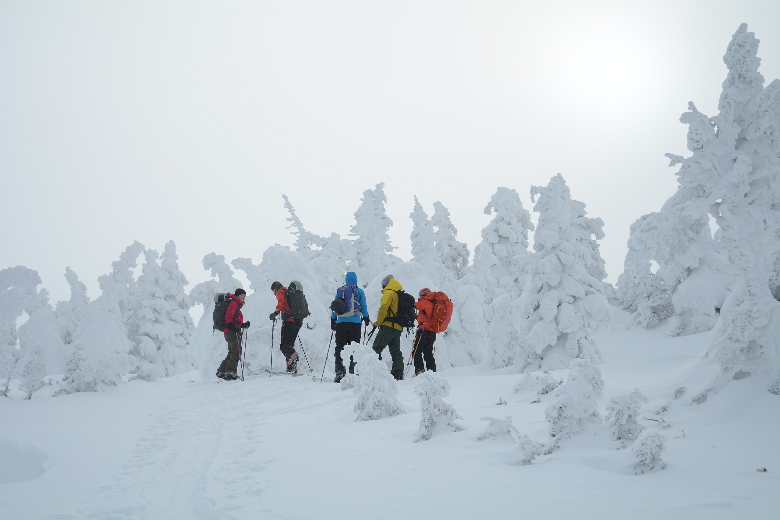 Vertigo-Aventures - Ski et planche à neige hors-piste