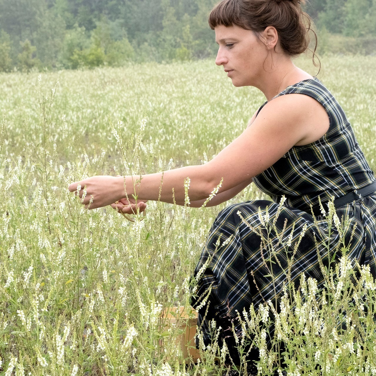 Le Jardin des Corneilles