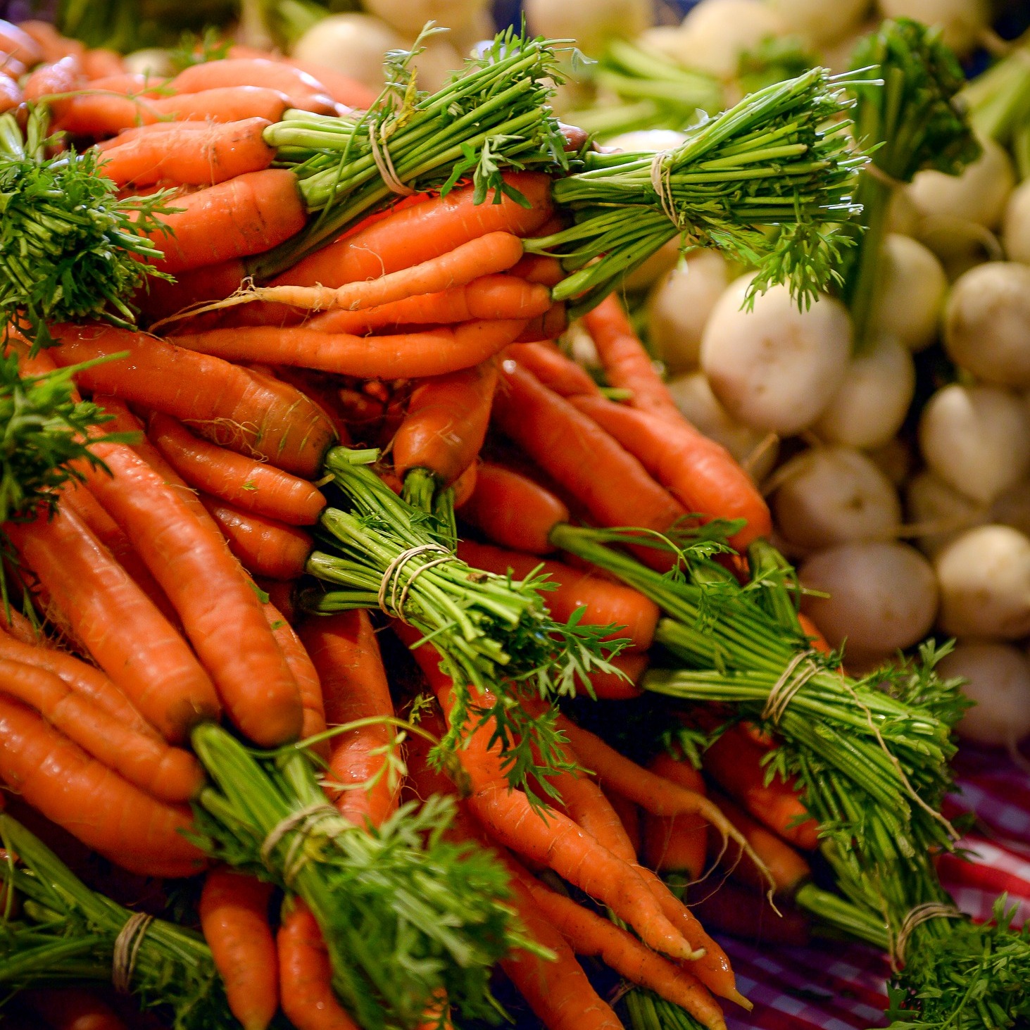 Les Potagers Mycobio