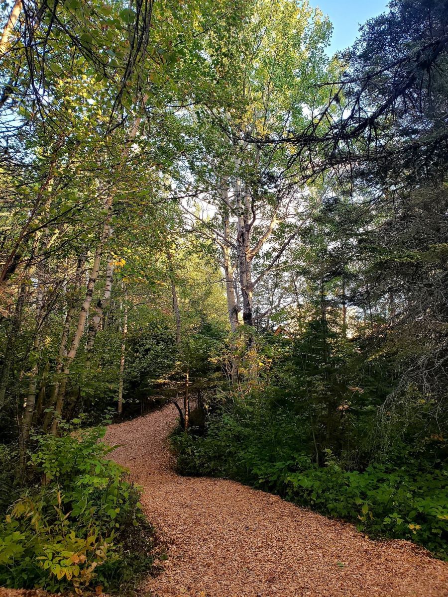 Sentier Défi Santé Cégep de Matane en automne