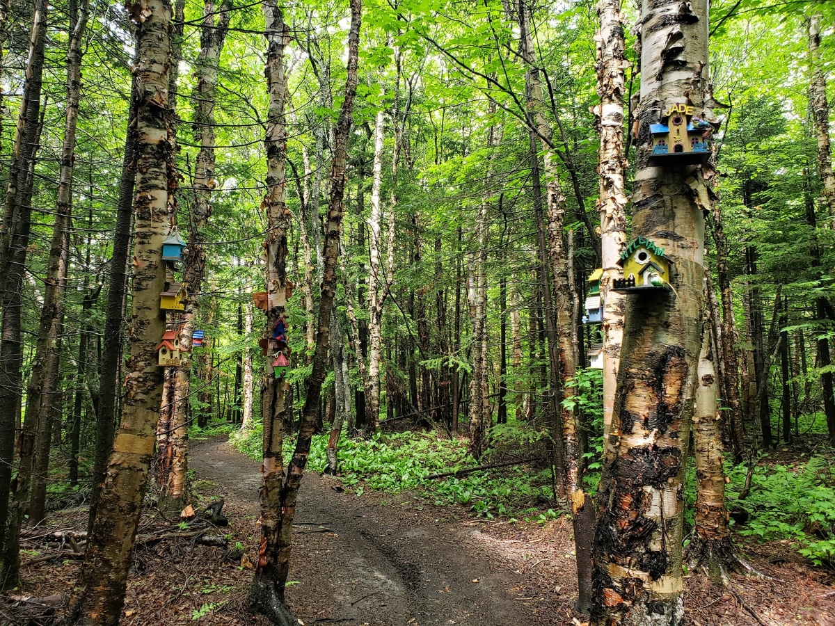 Sentiers de bon-pasteur à Matane