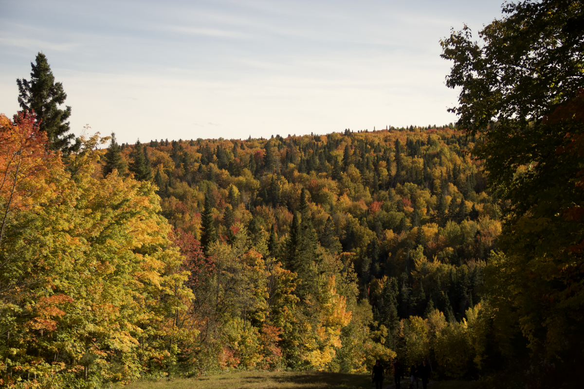 Randonnée en automne à Matane