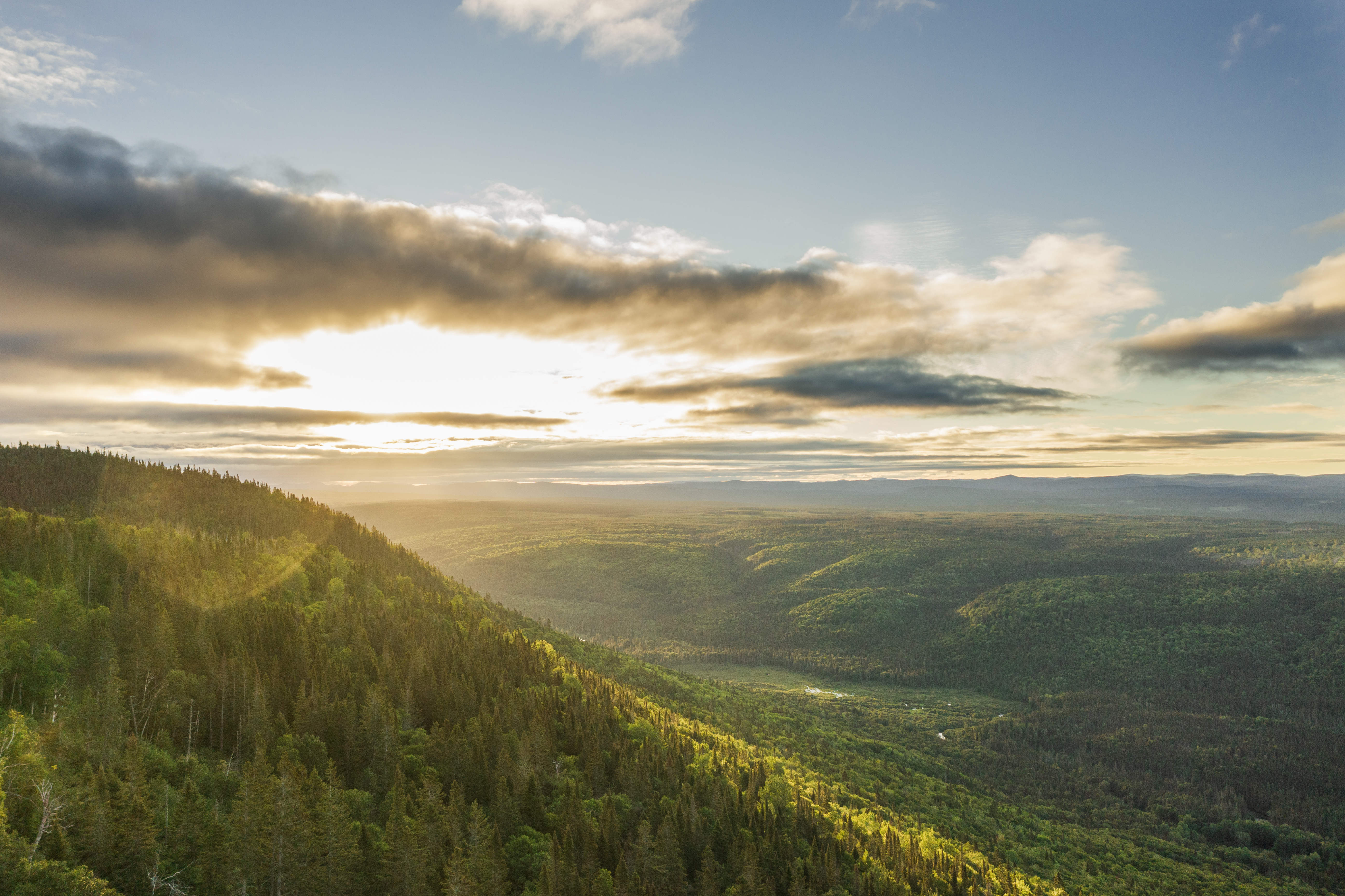 Réserve Faunique de Matane 