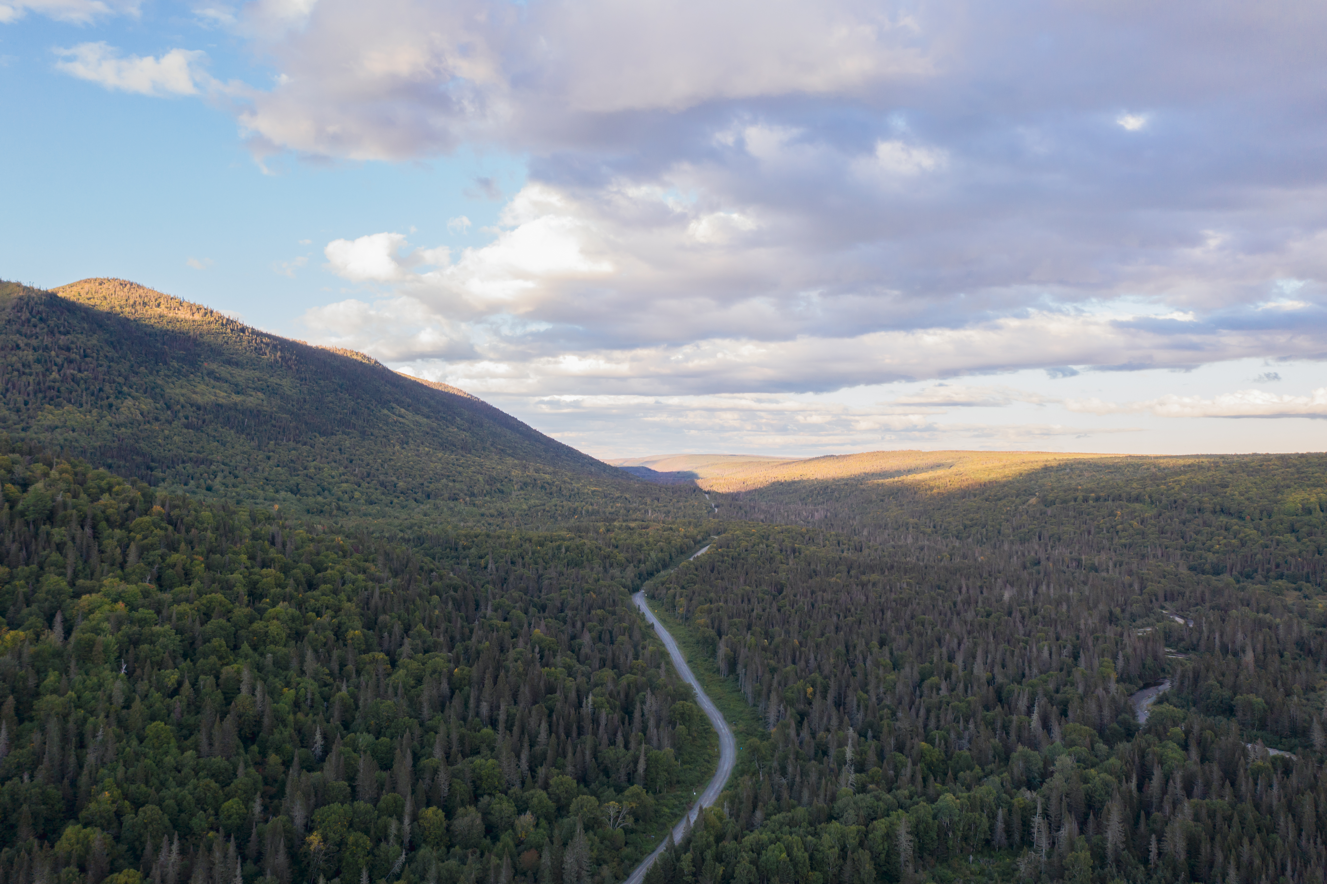 Route au coeur de la Réserve Faunique de Matane