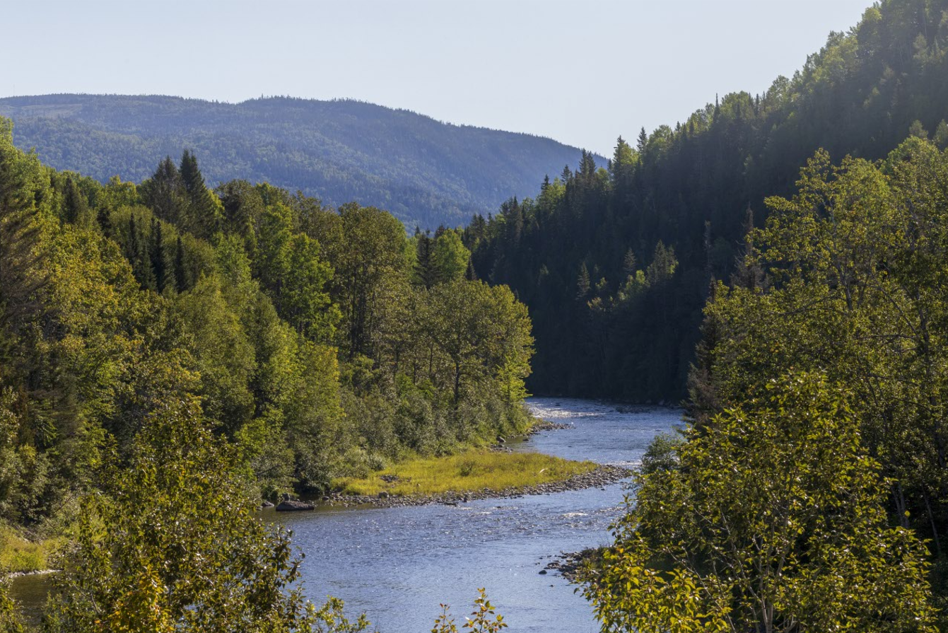Paysage de la rivière Matane 