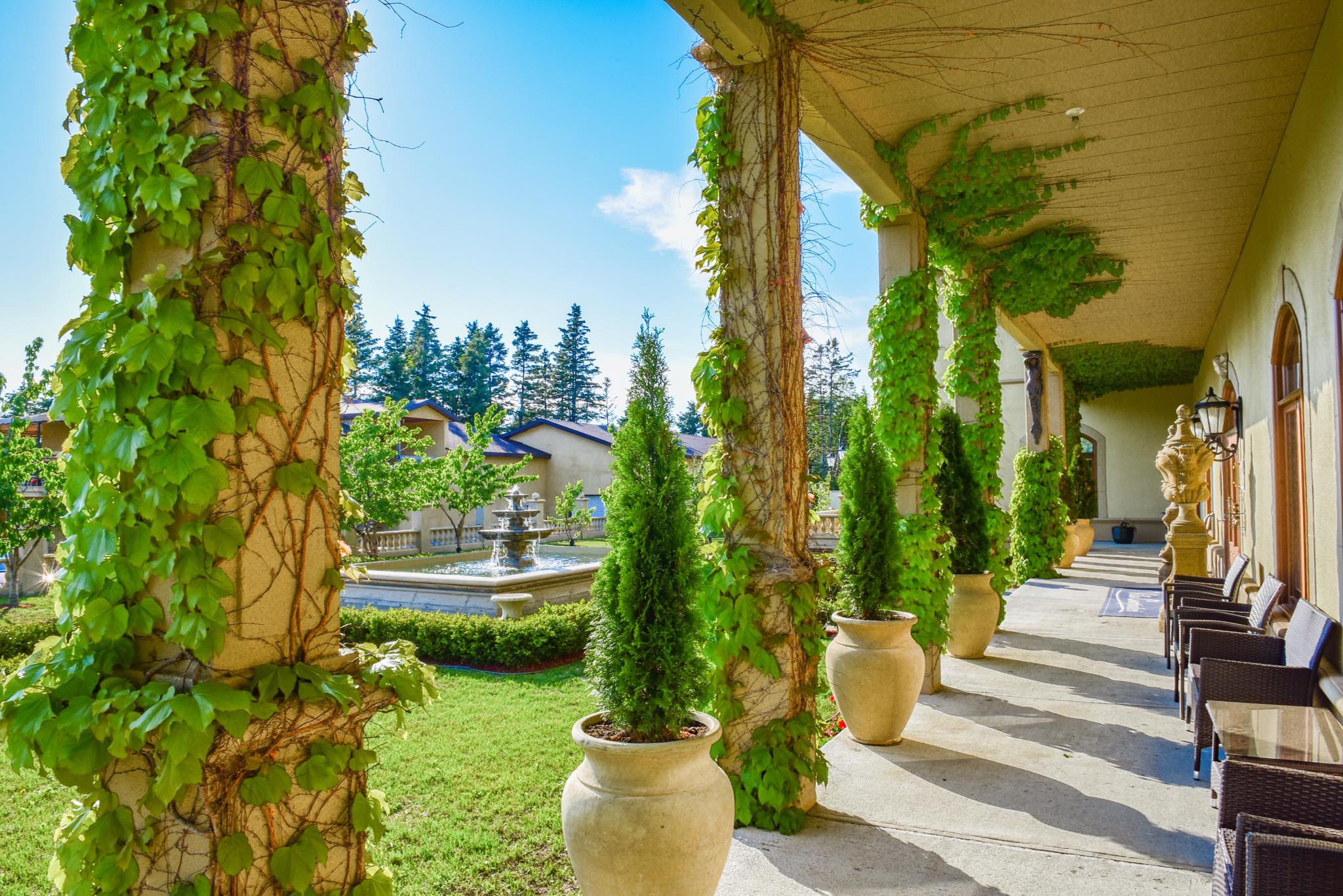 Villa du Vignoble Carpinteri - Saint-Ulric 