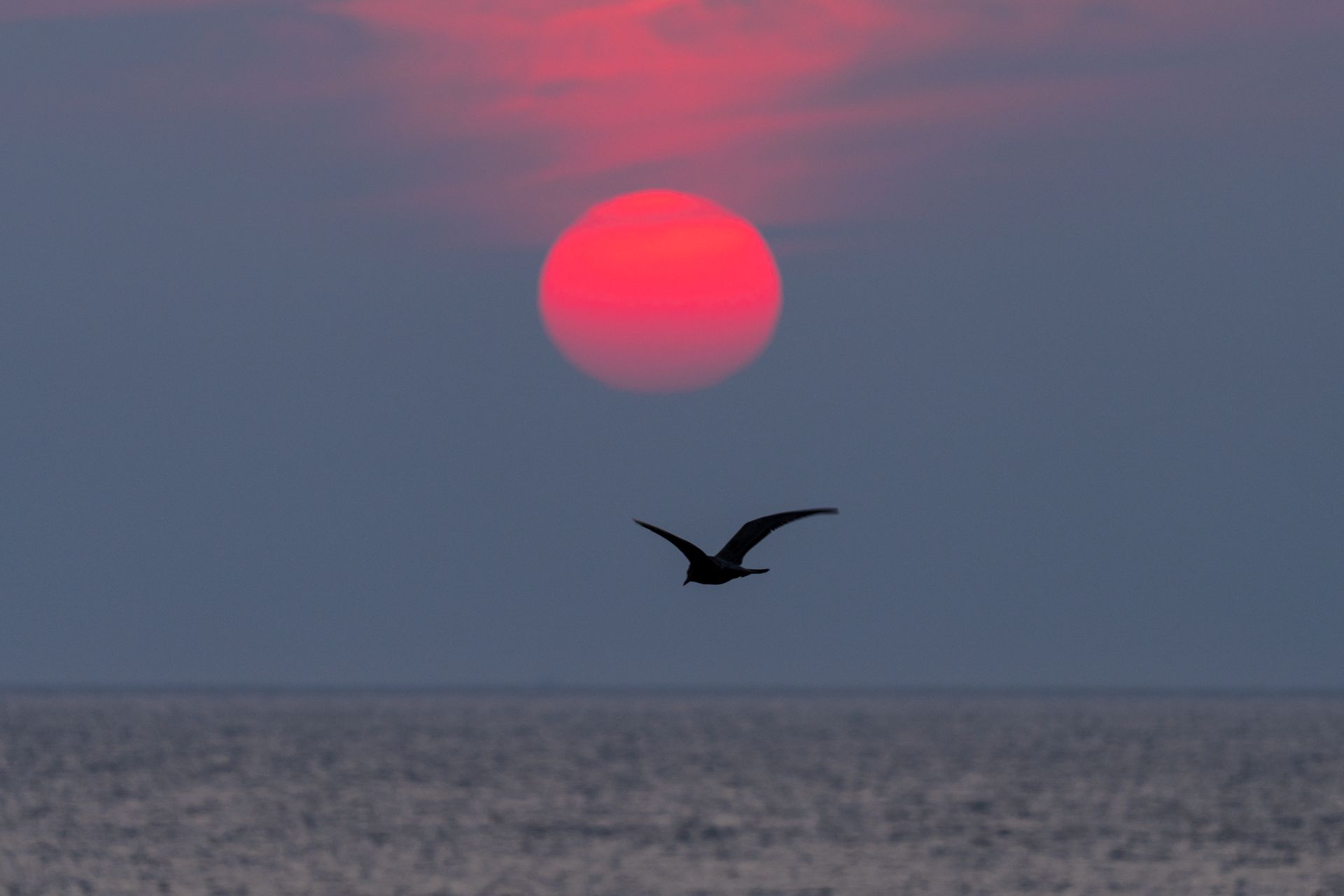Bord de mer en Matanie