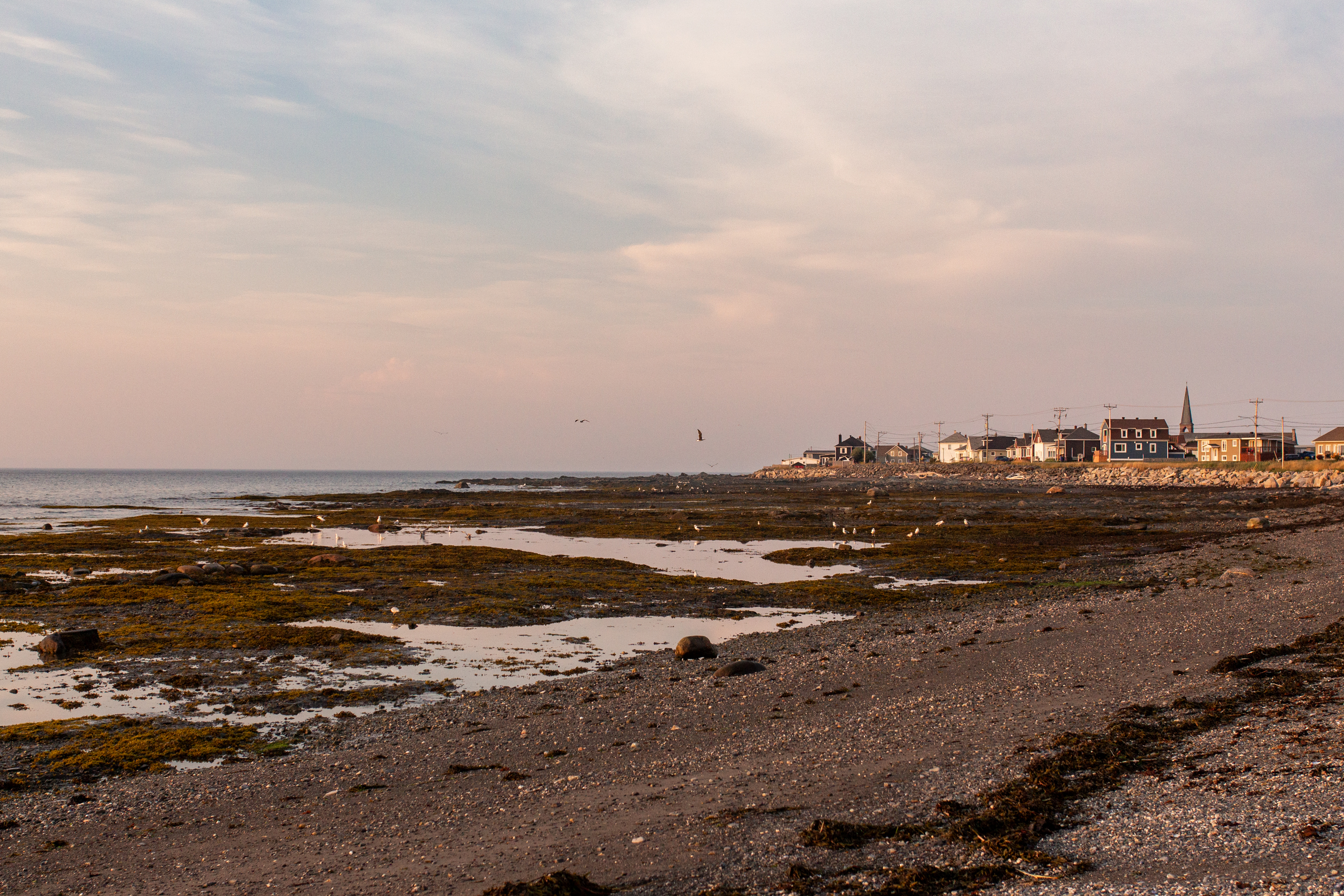 Grève de Petit-Matane - Matanie XP 
