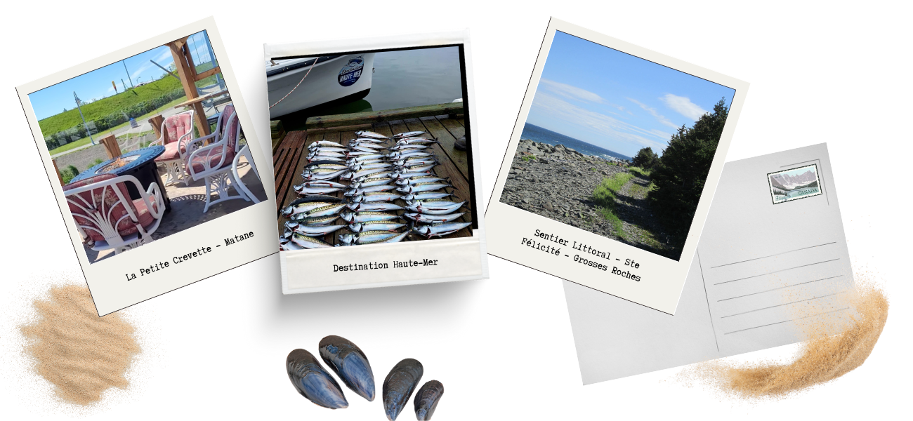 Montage photos La Matanie