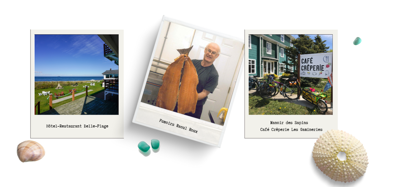 Montage photo La Matanie