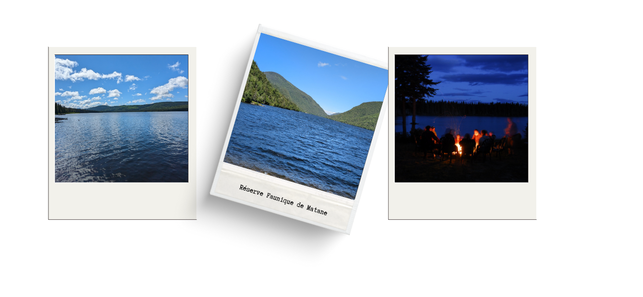 Montage Réserve Faunique de Matane 