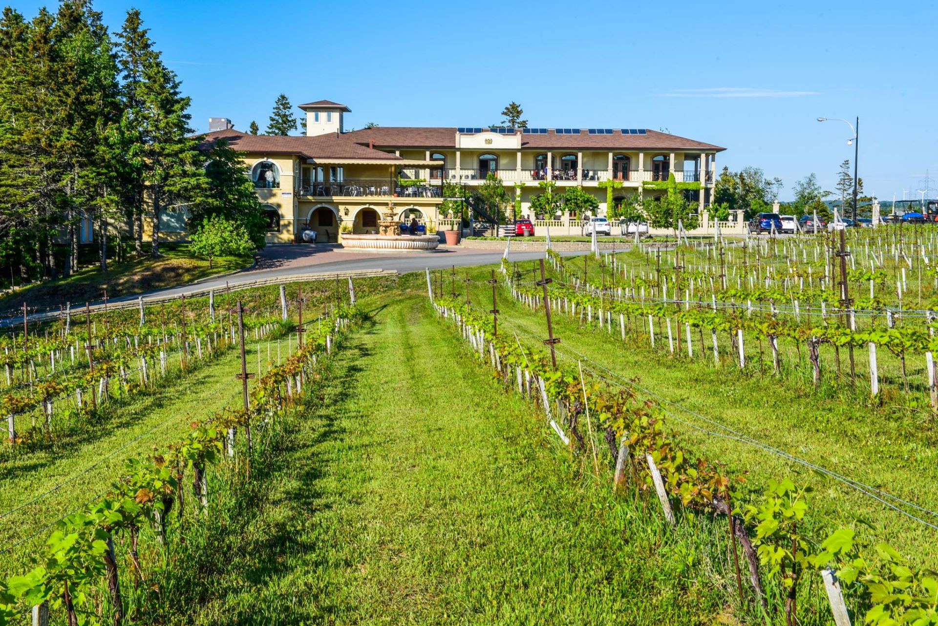 Carpinteri Vineyard in Saint-Ulric of Matane