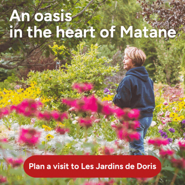 Publicité