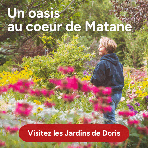 Publicité