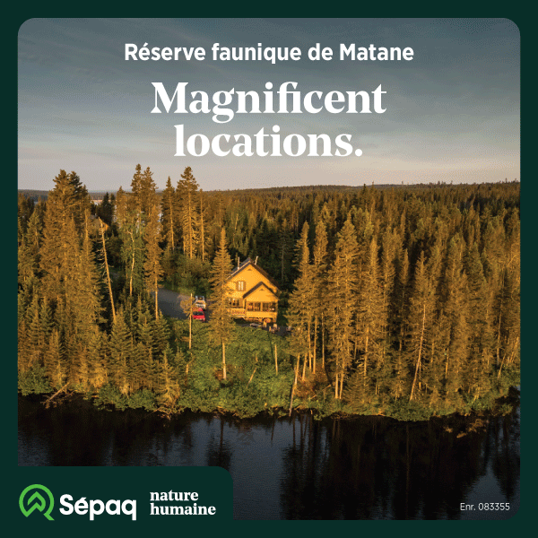 Publicité