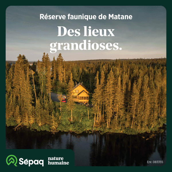 Publicité