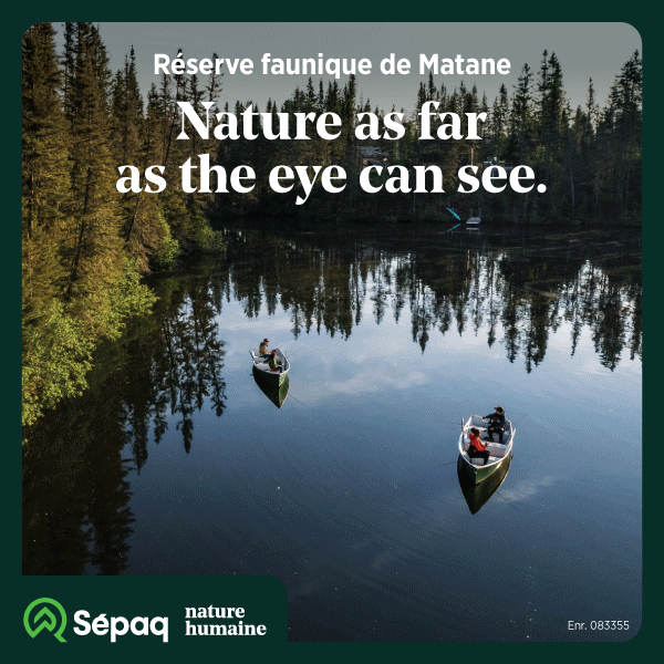 Publicité