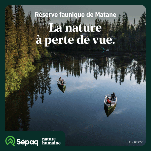 Publicité