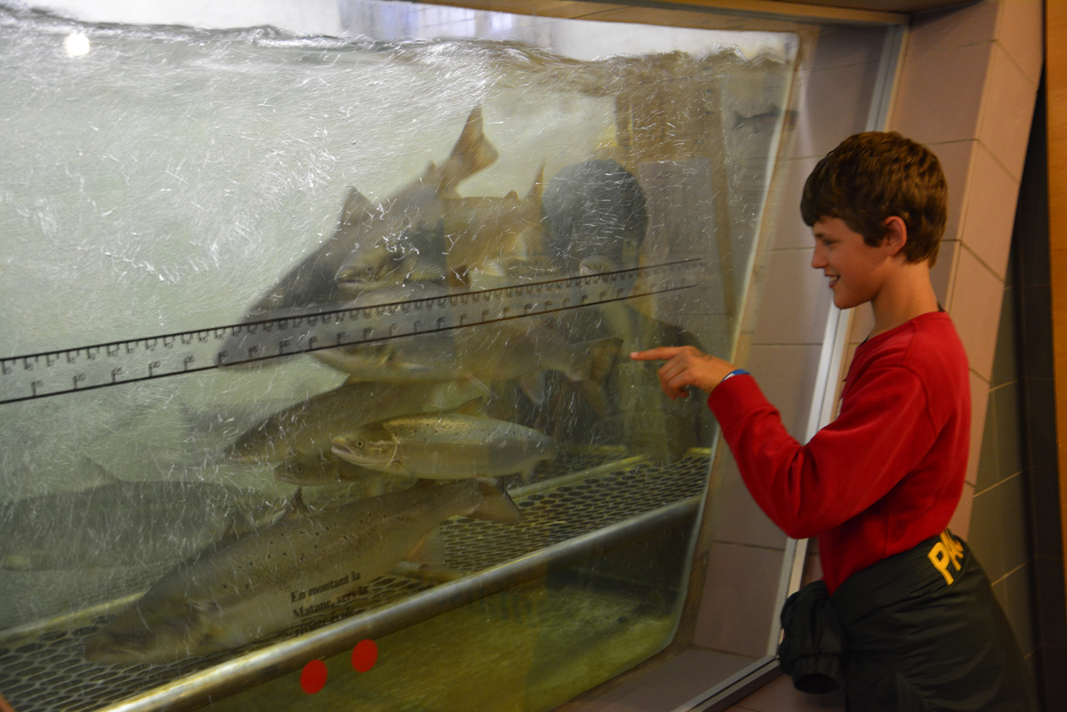 Salmon Observation Centre