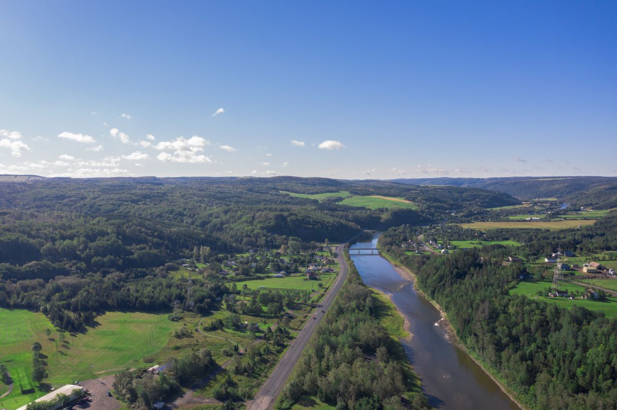 The Matane River - Salmon