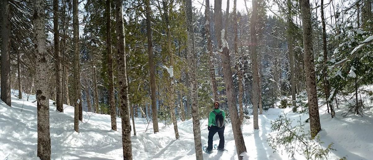 Snowshoeing and cross-country skiing in Matane, Gaspésie