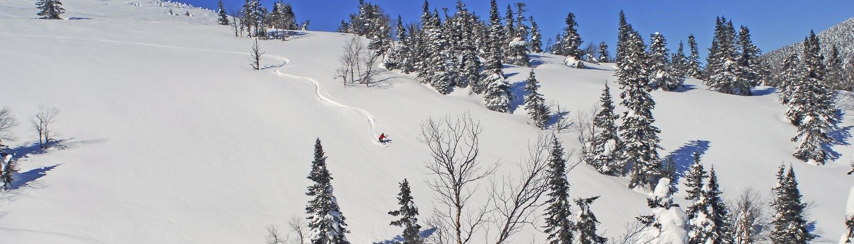 Vertigo-Aventures - Ski Hors-Piste Vertigo-Aventures - Ski Hors-Piste