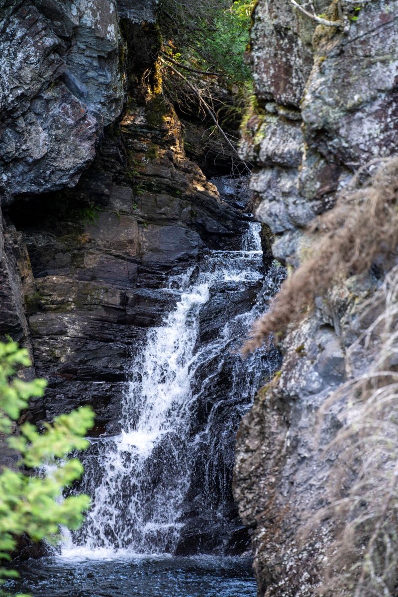 Les sentiers de la Grotte des Fées - Walking trails