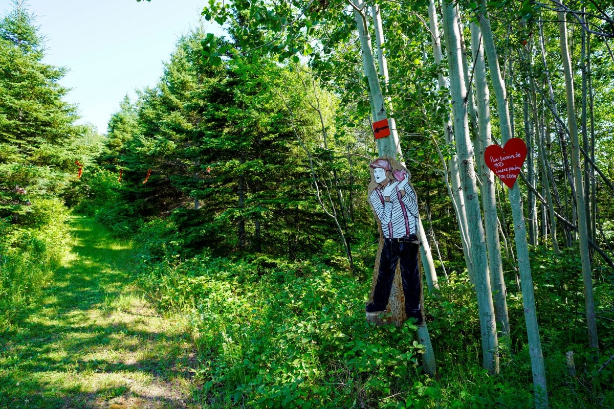 Sentiers de la Forêt municipale de Sainte-Félicité