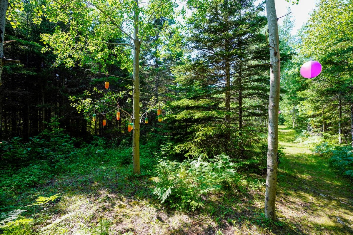 Sentiers de la Forêt municipale de Sainte-Félicité