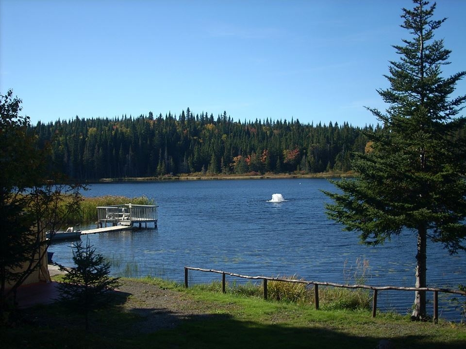 Pourvoirie de la Gaspésie