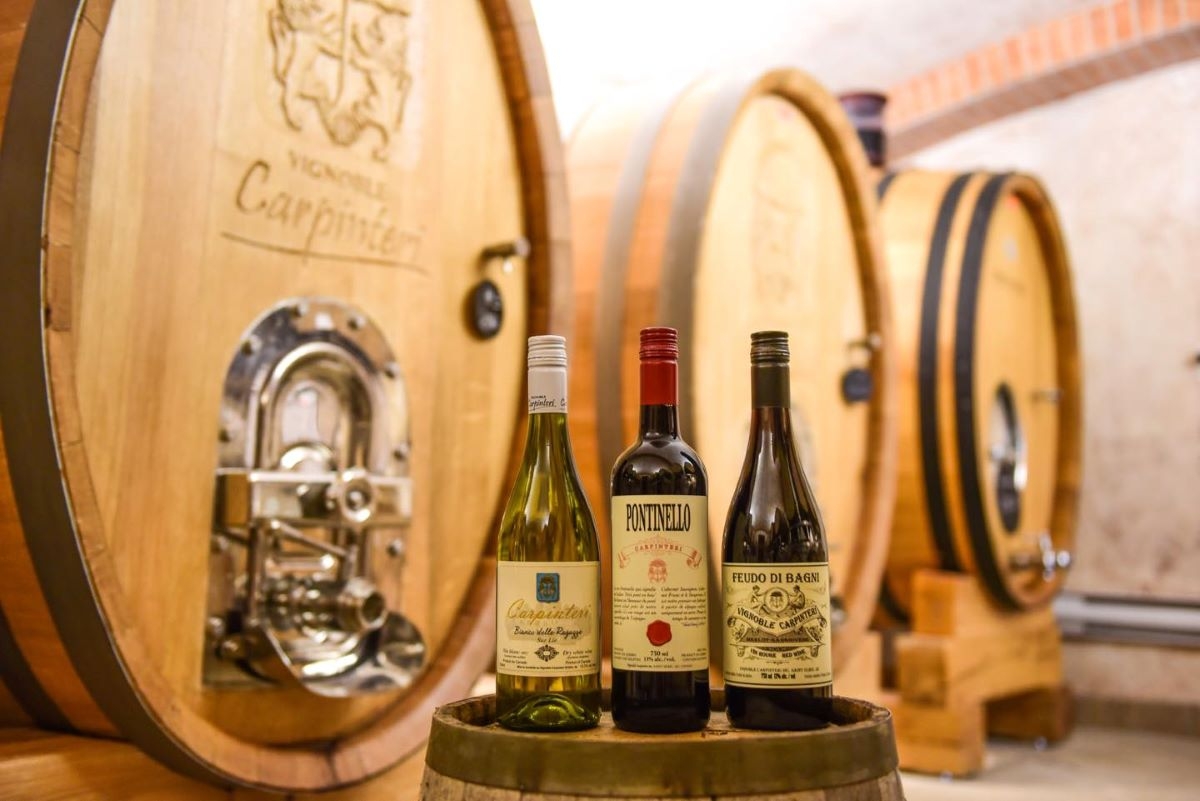 Vignoble Carpinteri