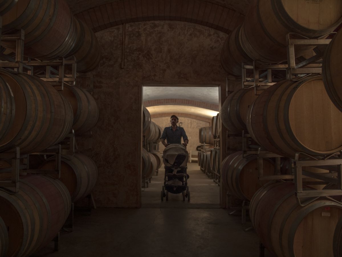 Vignoble Carpinteri