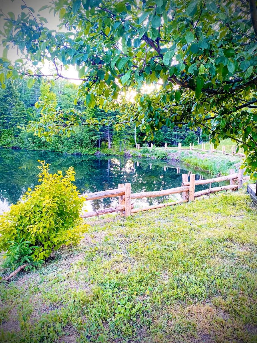 Chalet des Cousins