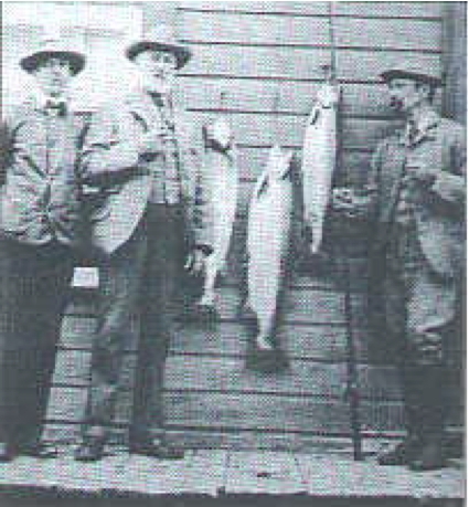 Salmon observation centre