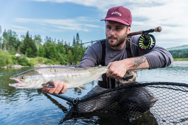 Learn to fish salmon